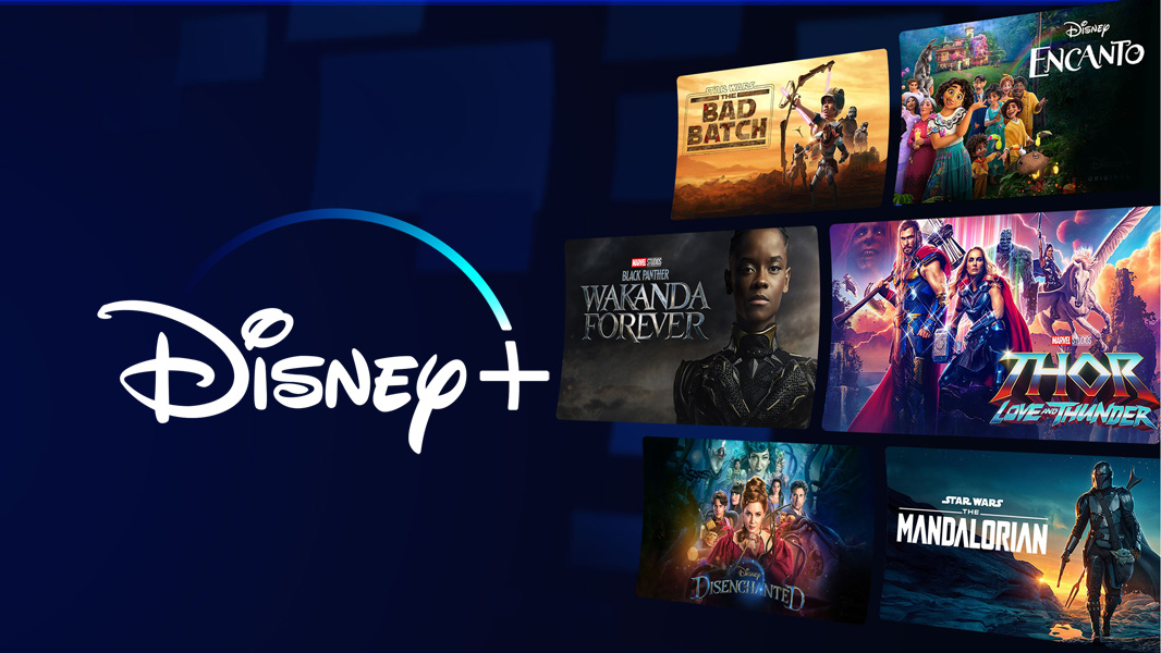 Disney - NaO様　確認用 楽天市場】ディズニー シェード ミッキー 日除け 目隠し 夏 幅